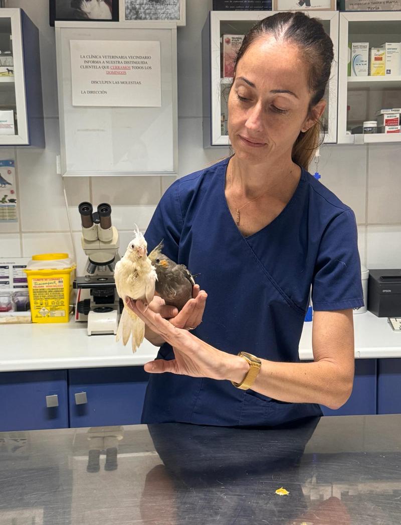 REDUCIDA_MARTA QUINTANA VETERINARIA CON EXOTICO