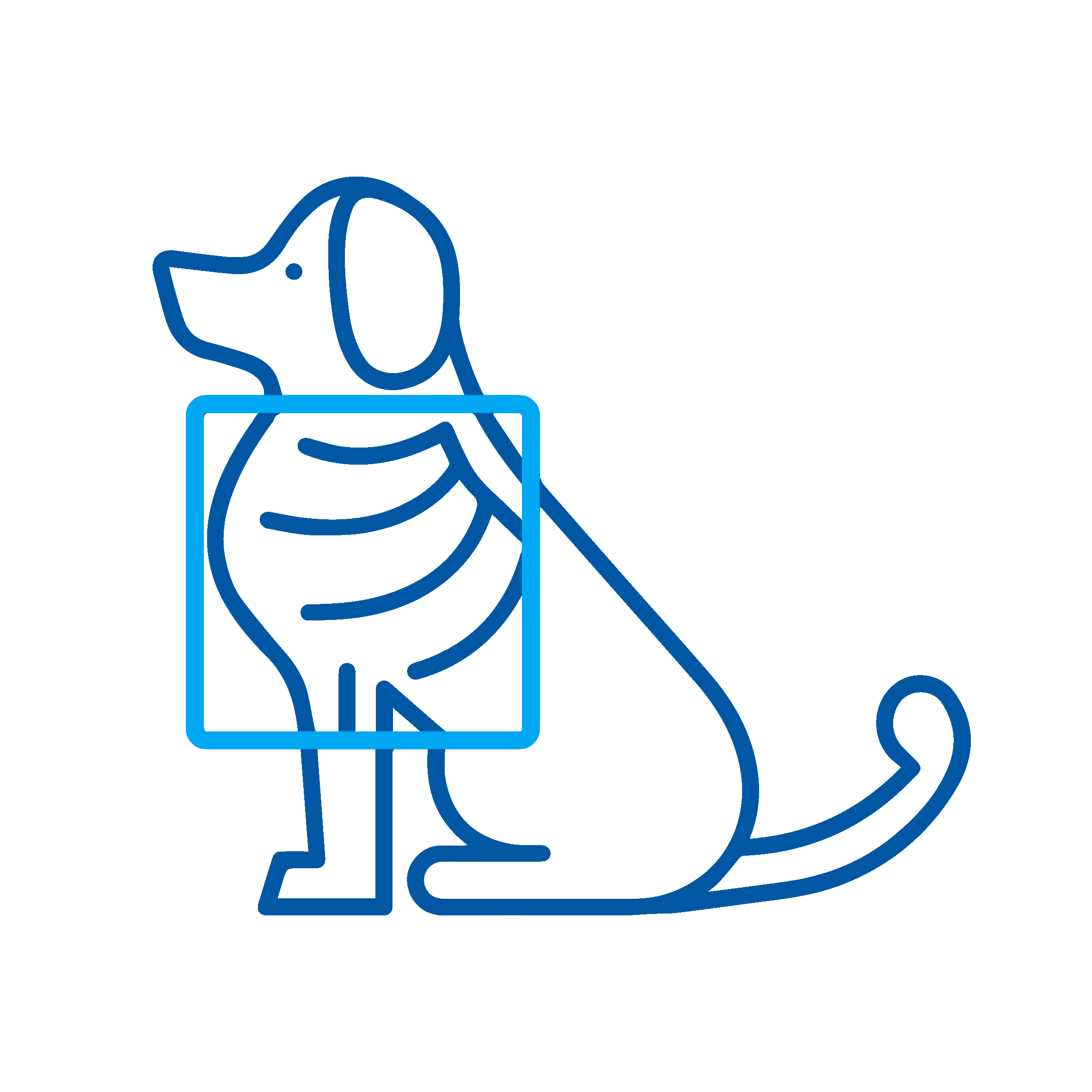 perro