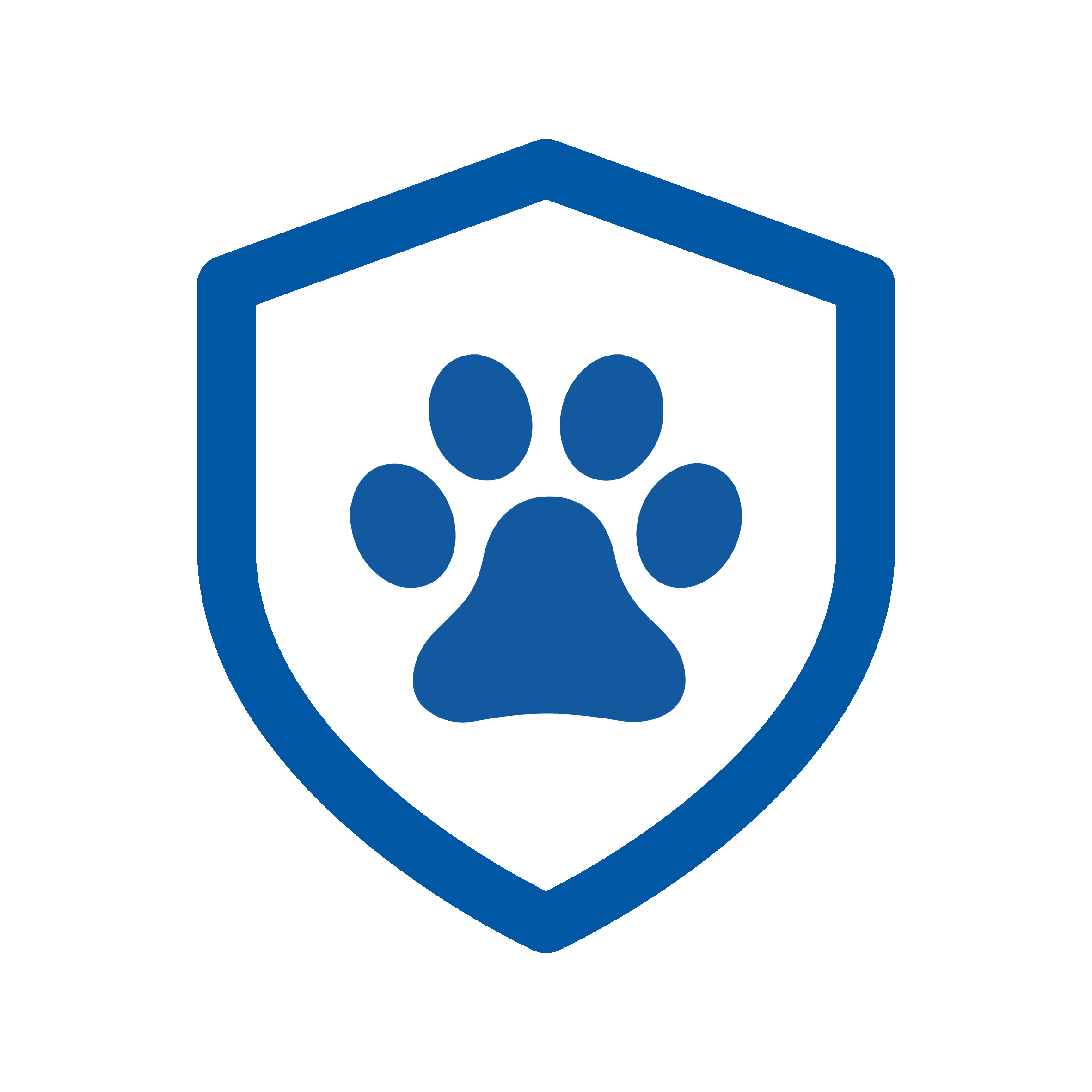 pet insurance